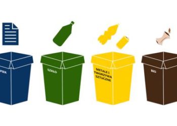 Jak segregować odpady – krok po kroku