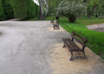 Wiosenna odnowa parku