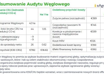 Czy Zielony Ład to dobry biznes?