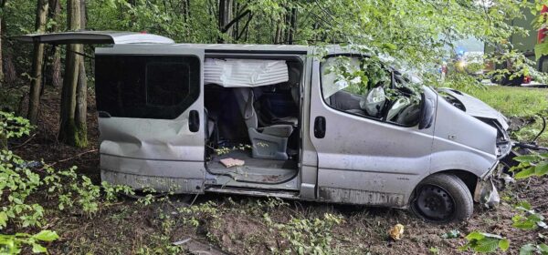 Bus uderzył w drzewo