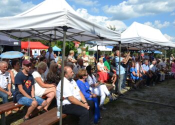 Święto tradycji i kultury w Sułowie