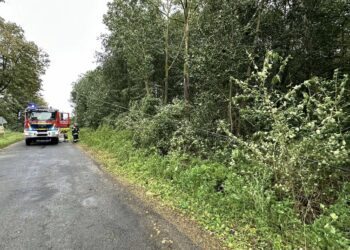 Strażacy usuwali skutki wichury