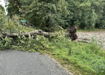 Strażacy usuwali skutki wichury