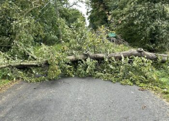 Strażacy usuwali skutki wichury