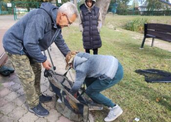 Zawody wędkarskie na łowisku w Karłowie