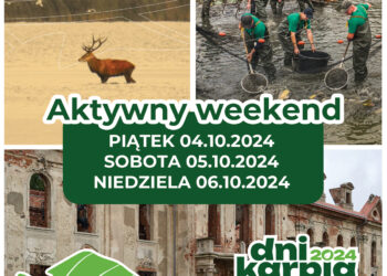 Intensywny 6. weekend Dni Karpia w Dolinie Baryczy