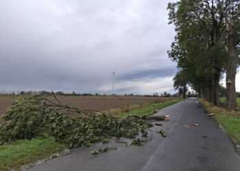 Strażacy interweniowali