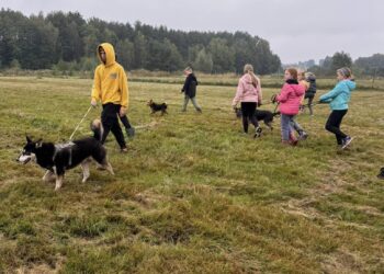 Odwiedziny w  Ośrodku Terapii dla Zwierząt Skrzywdzonych „Okiem Wilka”