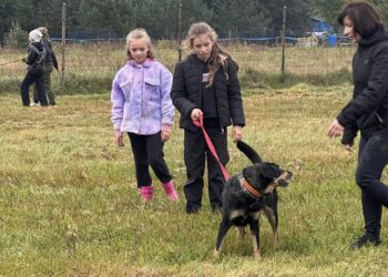 Odwiedziny w  Ośrodku Terapii dla Zwierząt Skrzywdzonych „Okiem Wilka”