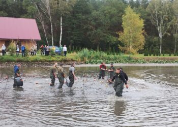 Pokazowe odłowy na Ostoi Konika Polskiego