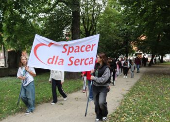 Spacer dla serca