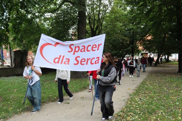 Spacer dla serca