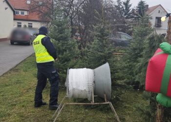 Skuteczne działania przeciw kradzieżom choinek