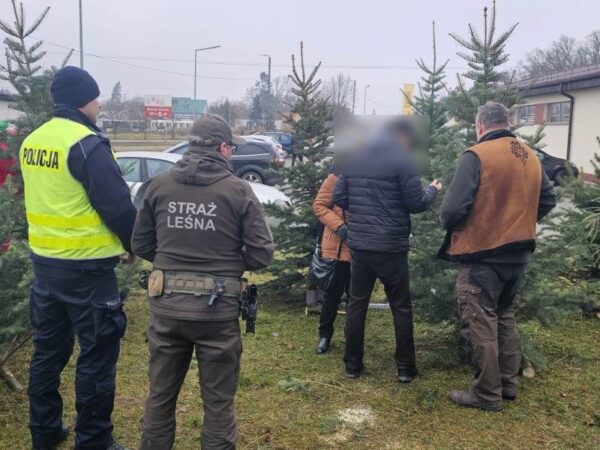 Skuteczne działania przeciw kradzieżom choinek