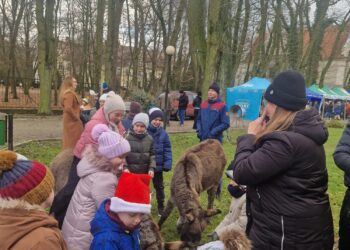 Świąteczny Jarmark w Borzęciczkach