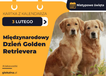 Międzynarodowy Dzień Golden Retrievera