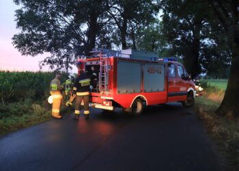 Szybka interwencja strażaków po kolizji w Miliczu